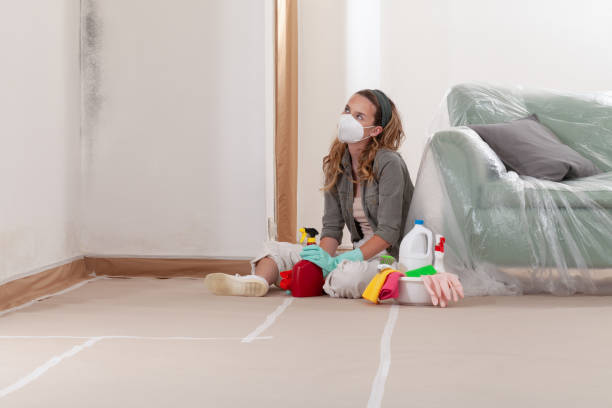 Reliable Black Mold Remediation contractor in Universal City, TX by Car Mold Remediation